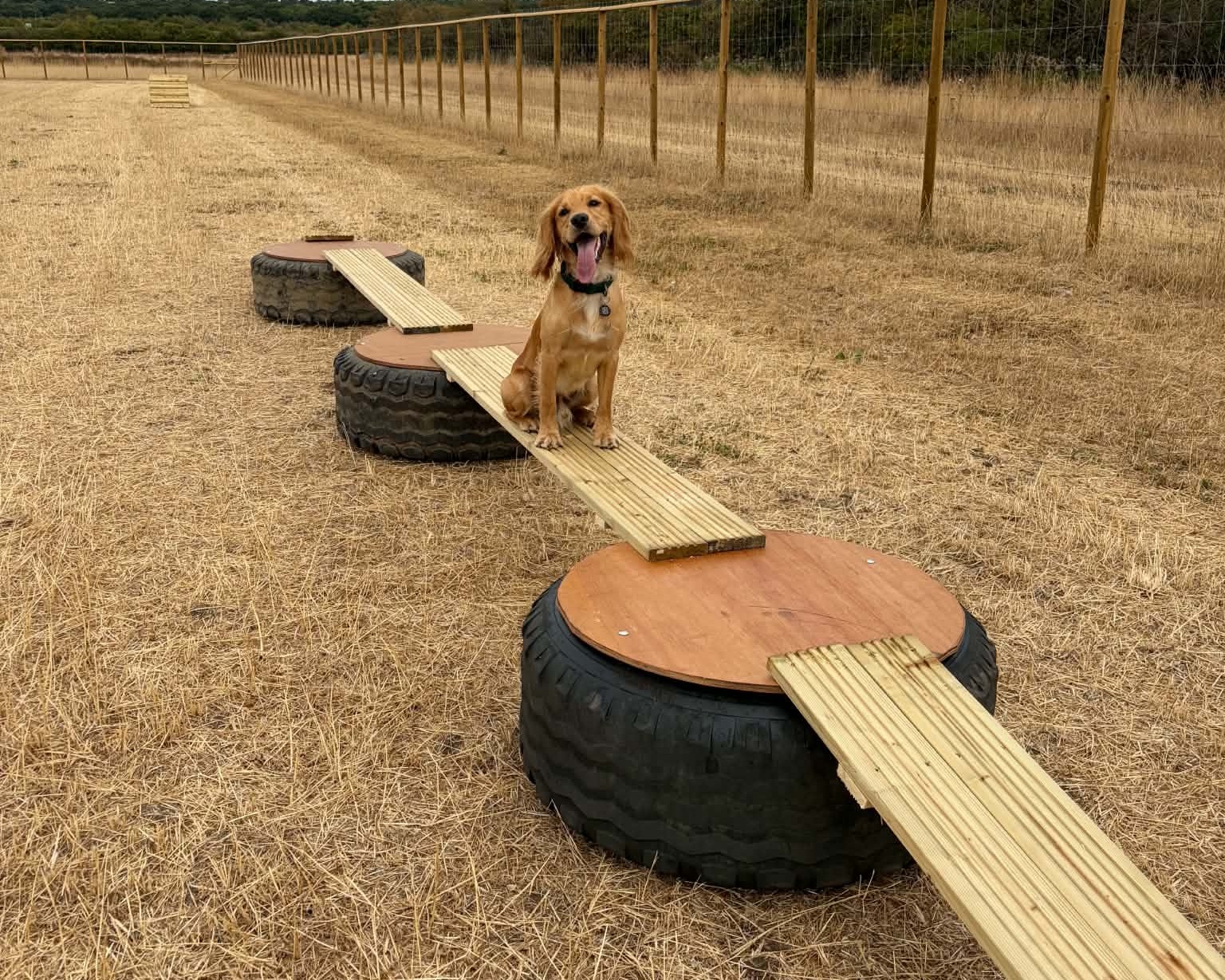 Hawkeridge dog field
